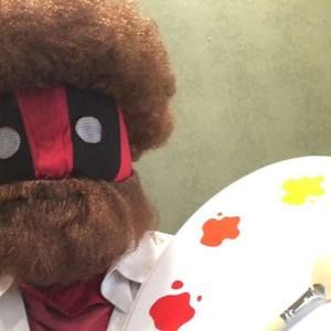 Meet your Posher, Benjamin